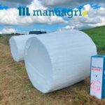 Заготівля кормів на еко-фермі в Карпатах